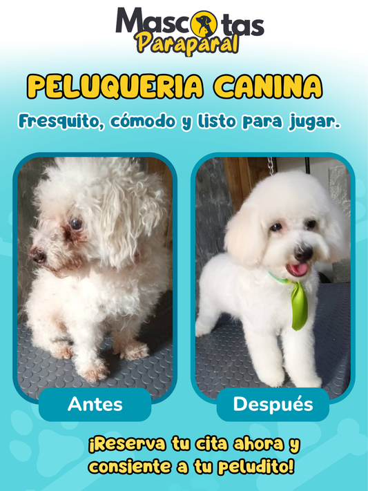 Prueba originally